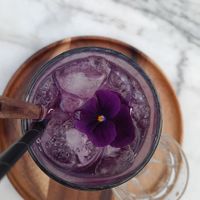  at Plant Dragon in Leuven