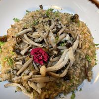   at Jardineiro - Vegan Kitchen in Porto