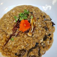 Mushroom risotto 10/10 at Jardineiro - Vegan Kitchen in Porto