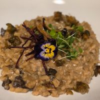Mushroom risotto at Jardineiro - Vegan Kitchen in Porto