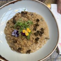 Mushroom risotto   at Jardineiro - Vegan Kitchen in Porto