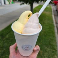 Guava and mango this month. SO creamy and delicious. at Normal Ice Cream in Salt Lake City