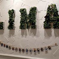 Inside decor at Lima Coffee Roasters - Old Town Coffee Shop in Fort Collins