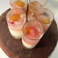 soy milk sorbet with plum and olive oil (on the house) at The Restaurant Pendolino in Sydney