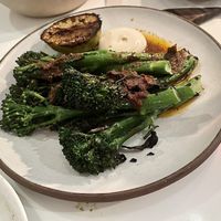   at Ottolenghi in North London