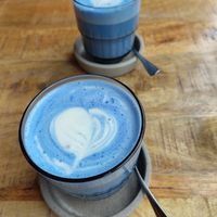 Blue Kokos Latte at Alua Catering Cafe in Dresden