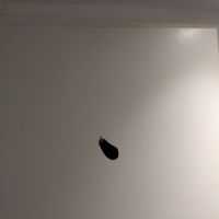  at IVY Bistro & Café in Hamburg