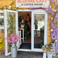 Blooms Café at Blooms Cafe in Emsworth