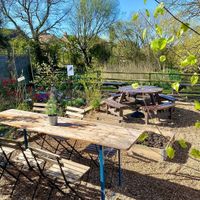 Outdoor seating and dog friendly at Blooms Cafe in Emsworth