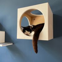  at Katers Köök in Hamburg