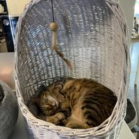  at Katers Köök in Hamburg