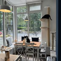   at Katers Köök in Hamburg