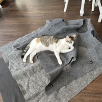   at Katers Köök in Hamburg