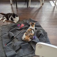  at Katers Köök in Hamburg