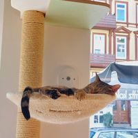 ❤️ at Katers Köök in Hamburg