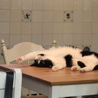  at Katers Köök in Hamburg