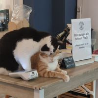  at Katers Köök in Hamburg