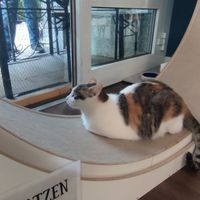  at Katers Köök in Hamburg