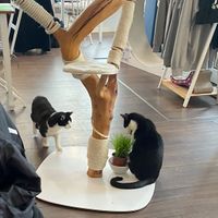   at Katers Köök in Hamburg