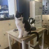 Sehr freundliches Personal 😉😹  at Katers Köök in Hamburg