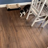   at Katers Köök in Hamburg