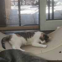  at Katers Köök in Hamburg