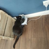  at Katers Köök in Hamburg