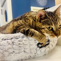   at Katers Köök in Hamburg