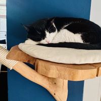   at Katers Köök in Hamburg