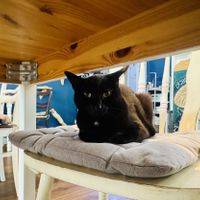   at Katers Köök in Hamburg