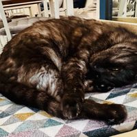   at Katers Köök in Hamburg