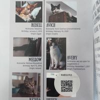   at Katers Köök in Hamburg