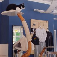  at Katers Köök in Hamburg