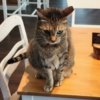  at Katers Köök in Hamburg