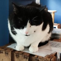  at Katers Köök in Hamburg