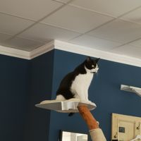  at Katers Köök in Hamburg