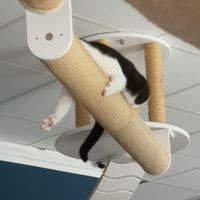  at Katers Köök in Hamburg