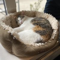   at Katers Köök in Hamburg