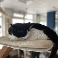   at Katers Köök in Hamburg