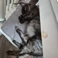  at Katers Köök in Hamburg