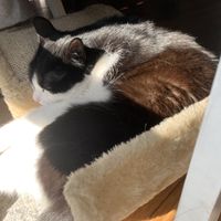   at Katers Köök in Hamburg