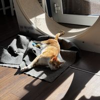   at Katers Köök in Hamburg