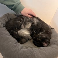   at Katers Köök in Hamburg