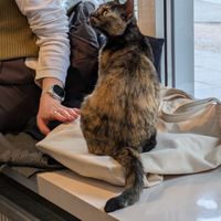  at Katers Köök in Hamburg