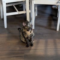  at Katers Köök in Hamburg