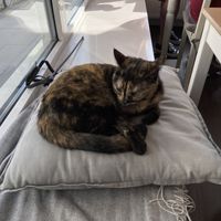   at Katers Köök in Hamburg