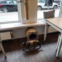  at Katers Köök in Hamburg