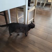  at Katers Köök in Hamburg