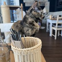   at Katers Köök in Hamburg
