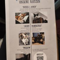 at Katers Köök in Hamburg